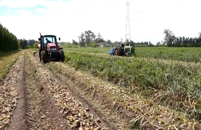 Imagen de Economía uruguaya registró caída de 0,2% en el tercer trimestre del año con respecto al período abril-junio