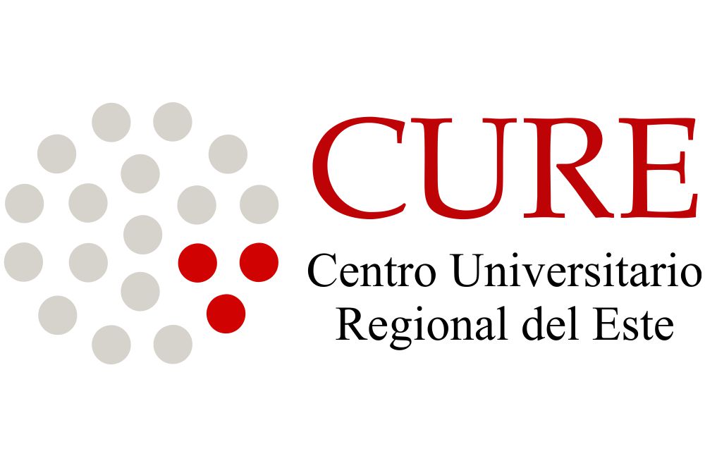 El CURE dictará curso sobre introducción al diseño