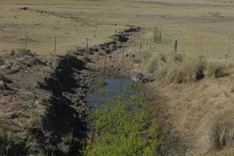 Imagen de Intendentes de Colonia y Rocha piden extensión de la emergencia agropecuaria y denuncian "situación crítica"