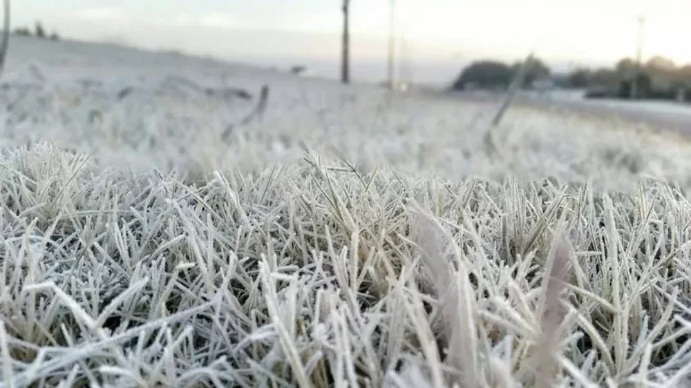 Imagen de La primera temperatura bajo cero de 2026 en Uruguay: dónde fue y cuánto marcó el termómetro