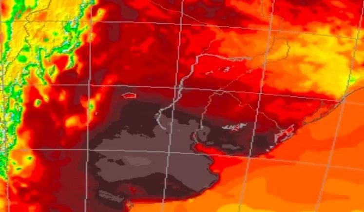 Imagen de Meteorólogo anuncia una “importante ola de calor” en Uruguay: cuándo y de cuántos grados